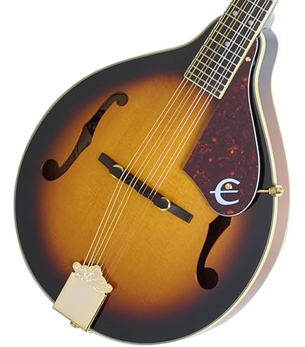 Amazon | ARIA アリア 電子マンドリン AM-20E ハードケース付き